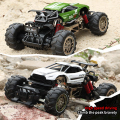 1:14 Simulation vehicle type Alloy remote control high-speed car